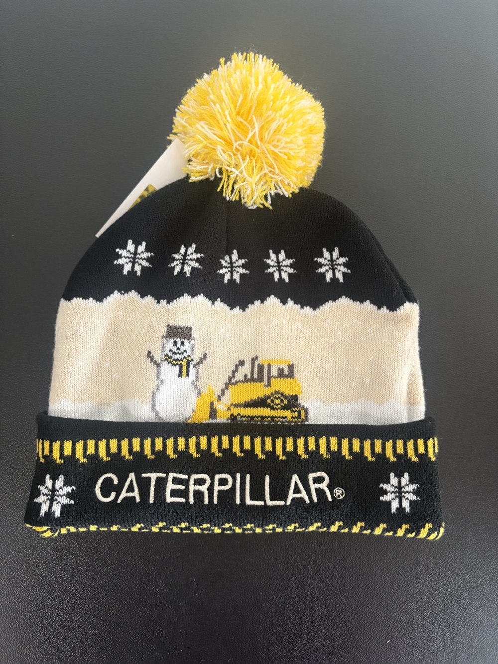 Cat Snowblazer Beanie (Men)